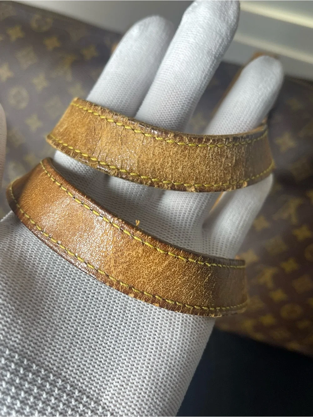 Louis Vuitton lv flanarie